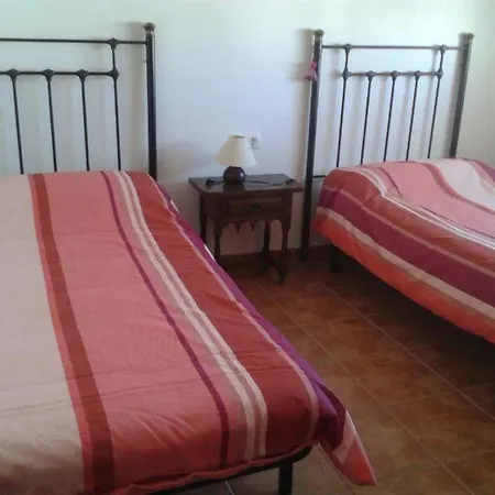 Duplex Algaida