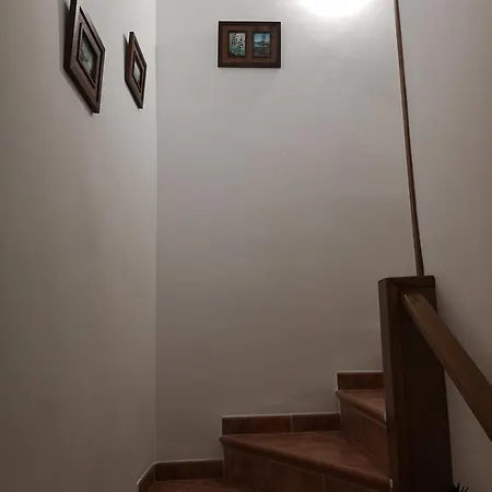 Duplex Algaida * San José